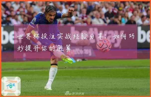 世界杯投注实战经验分享：如何巧妙提升你的胜算