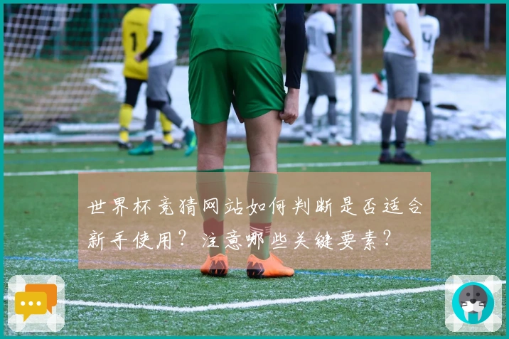 世界杯竞猜网站如何判断是否适合新手使用？注意哪些关键要素？
