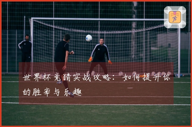世界杯竞猜实战攻略：如何提升你的胜率与乐趣