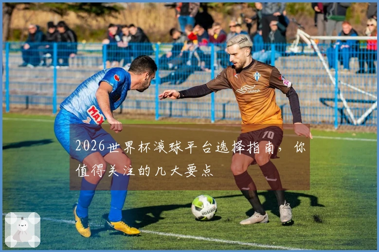2026世界杯滚球平台选择指南，你值得关注的几大要点