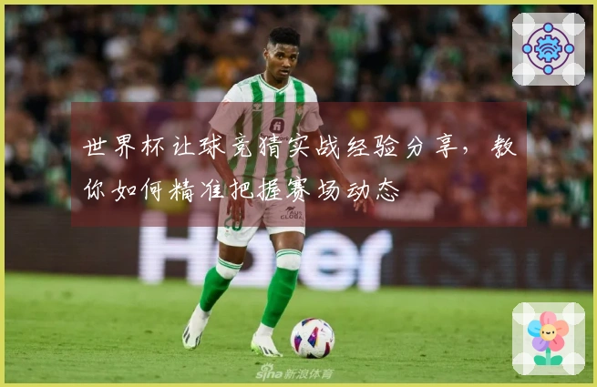 世界杯让球竞猜实战经验分享，教你如何精准把握赛场动态
