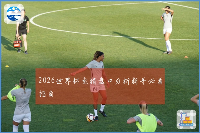 2026世界杯竞猜盘口分析新手必看指南