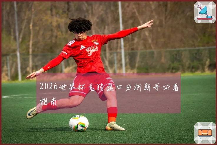 2026世界杯竞猜盘口分析新手必看指南