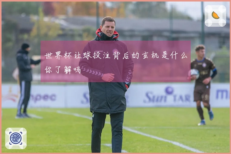 世界杯让球投注背后的玄机是什么你了解吗