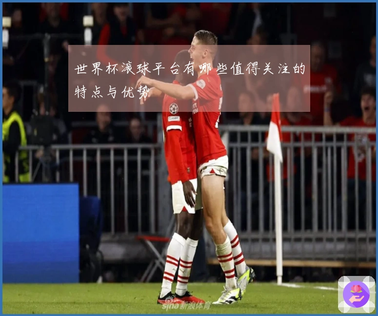 世界杯滚球平台有哪些值得关注的特点与优势