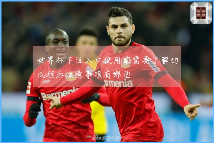 世界杯下注入口使用前需要了解的流程和注意事项有哪些