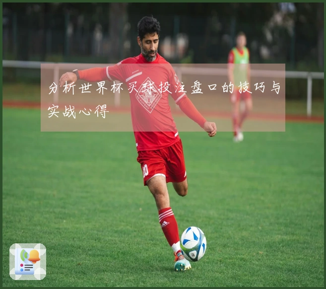 分析世界杯买球投注盘口的技巧与实战心得