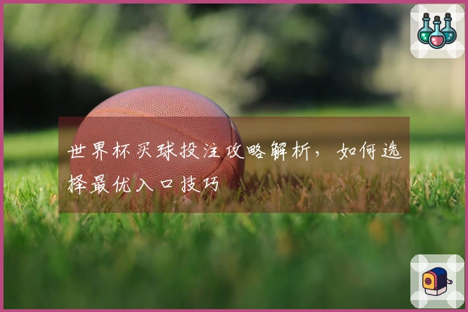 世界杯买球投注攻略解析，如何选择最优入口技巧