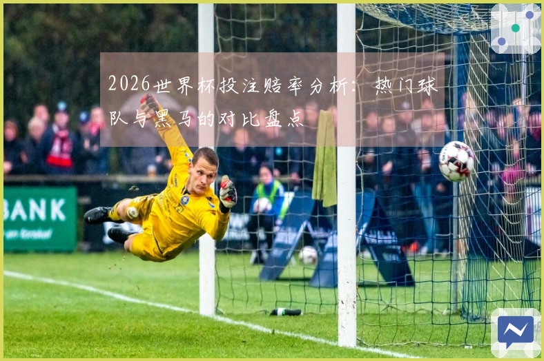 2026世界杯投注赔率分析：热门球队与黑马的对比盘点