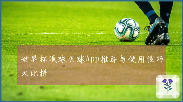 世界杯滚球买球App推荐与使用技巧大比拼