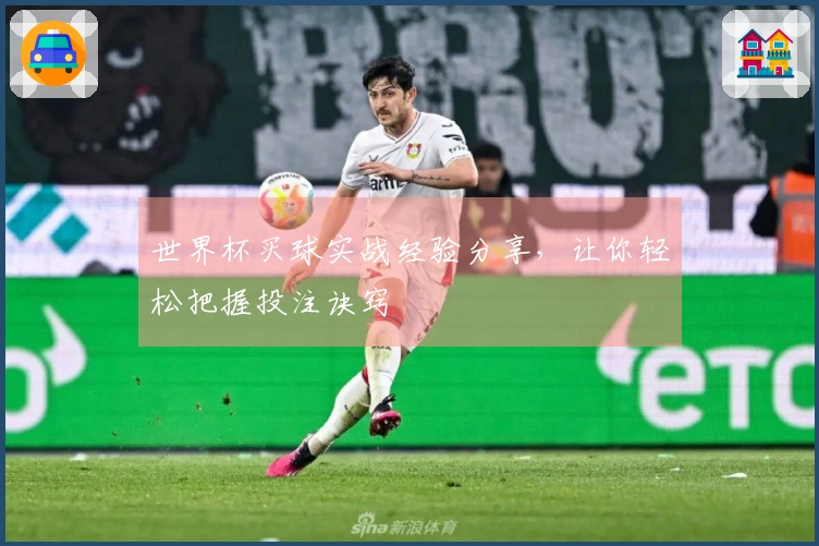 世界杯买球实战经验分享，让你轻松把握投注诀窍