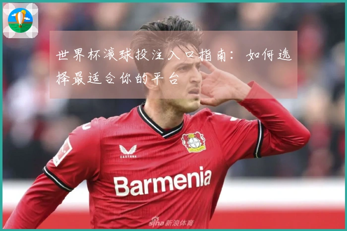 世界杯滚球投注入口指南：如何选择最适合你的平台