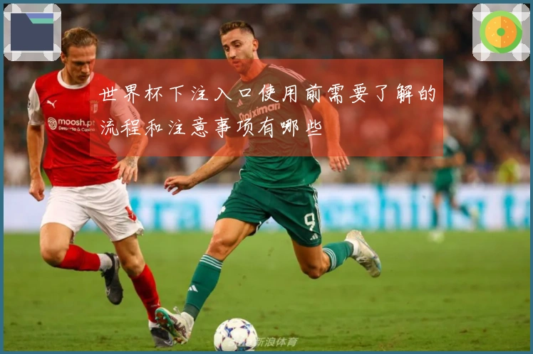 世界杯下注入口使用前需要了解的流程和注意事项有哪些