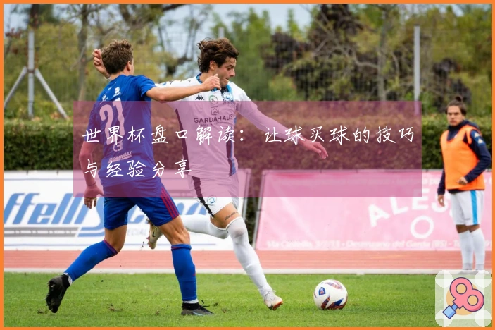 世界杯盘口解读：让球买球的技巧与经验分享