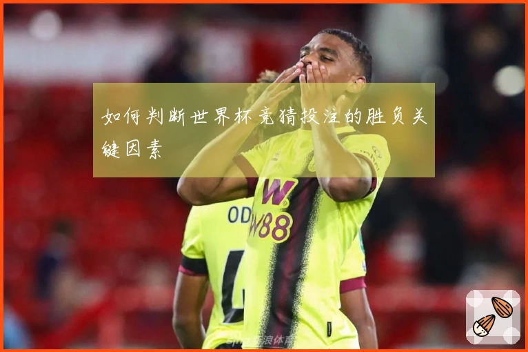 如何判断世界杯竞猜投注的胜负关键因素