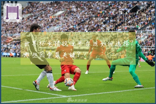 世界杯竞猜投注平台该如何选择？哪些因素最关键？