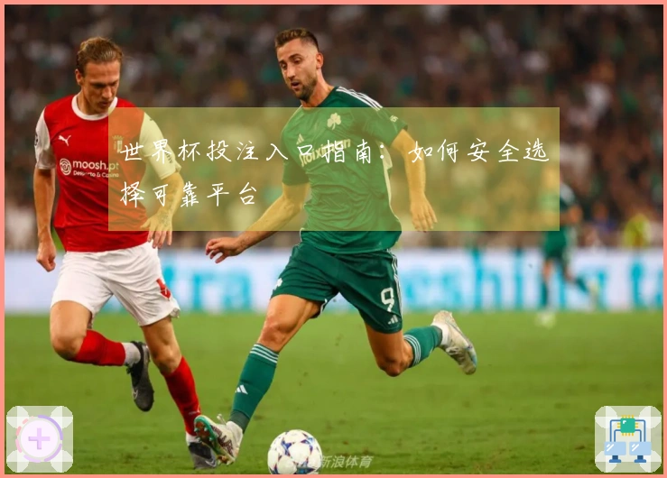 世界杯投注入口指南：如何安全选择可靠平台