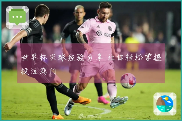 世界杯买球经验分享 让你轻松掌握投注窍门