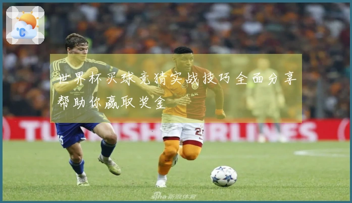 世界杯买球竞猜实战技巧全面分享帮助你赢取奖金