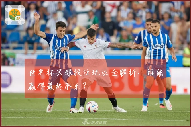 世界杯买球投注玩法全解析,谁能赢得最终胜利?