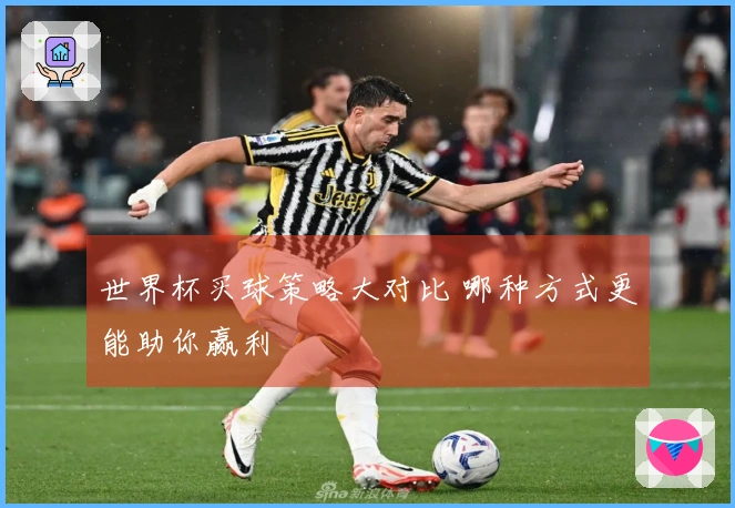 世界杯买球策略大对比 哪种方式更能助你赢利