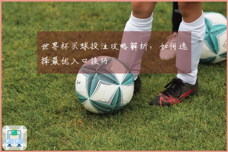 世界杯买球投注攻略解析，如何选择最优入口技巧