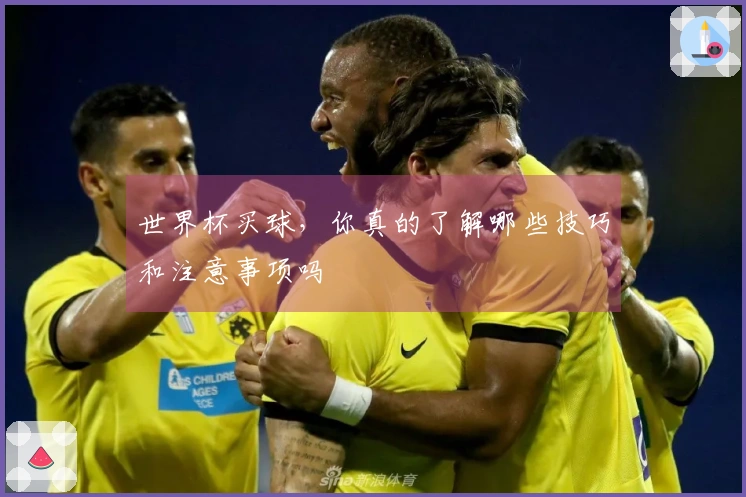 世界杯买球，你真的了解哪些技巧和注意事项吗